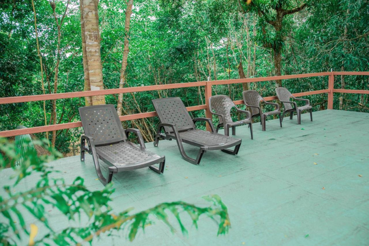 Caiman Eco Lodge Aguarico Екстер'єр фото